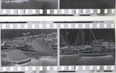 L1390497.jpg