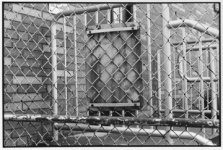 sign on school steps fence.jpg