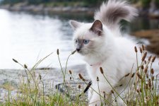 Lucy_50_0432-1.jpg