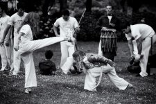 Capeoira in the Park 3.jpg