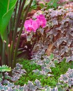 Con-4-8x10-crop.jpg