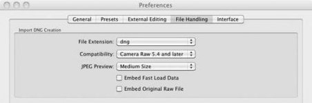 LR File Handling Preferences.jpg