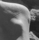 Scan-100811-0002_crop.jpg