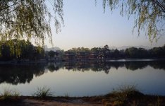 Chengde trees foreground.jpg