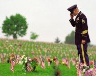 Salute to a fallen comrade-high res-web.jpg