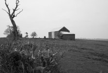 image-6.jpg