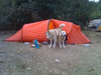 IMG_0012.jpg