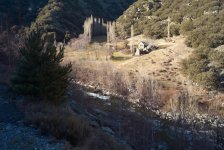 Ruin, stand of trees 2.jpg