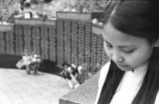 Vietnam Memorial Wall-Web use.jpg