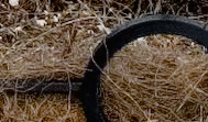jpg-artifacts.gif