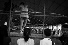 skatesmall-4.jpg
