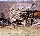 Decay 04-24-06.jpg