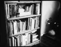 Bookcase001a.jpg