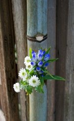Bouquet.jpg