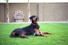 100 UC Test Roll035.jpg