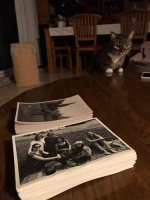 prints.jpg