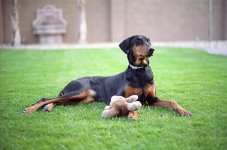 100 UC Test Roll030.jpg