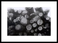 hexlander_010_rffsize.jpg