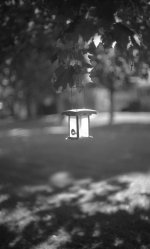 minolta046.jpg