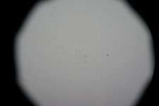 cron3.jpg