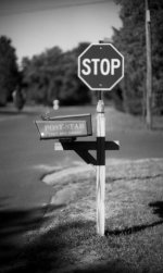 minolta048.jpg