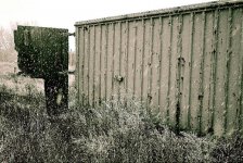 Dumpster-Snow Falling.jpg