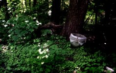stone_urn_n_ivy_big.jpg