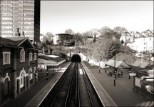 Warrior Square(R).jpg