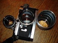 DSC04358.jpg