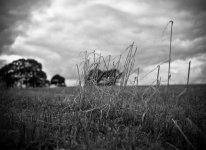 img015.jpg