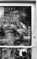 AutoDoor.jpg