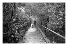 0039.24.0603.M2.50t.DL1.jpg