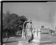 Untitled-3-copy.jpg