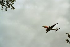 imm009_11A.jpg