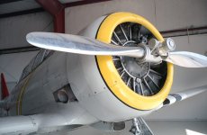 Minolta AL-F Wal 200 25 copy.jpg