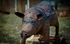 FINAL Smoking Butt Pig_rff.jpg