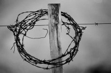 Nikkor 300 2.0 IF ED AIS @ 2.0.jpg