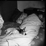 img021.jpg