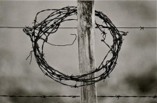 Nikkor 600 IF AIS @ 4.jpg