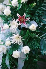 Flower Full RFF.jpg