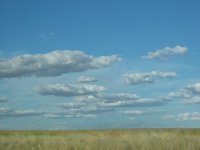 prairie.JPG