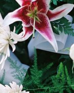 Flower Crop.jpg