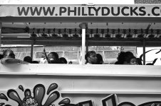 Philly-Ducks.jpg