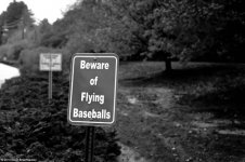 Beware of Flying Baseballs Sign rff.jpg