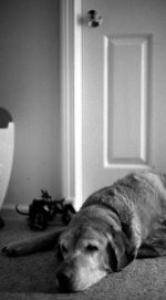 Untitled-20.jpg