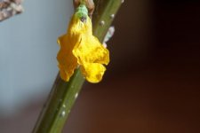 G1_002.jpg