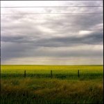 AB-landscape-011.jpg