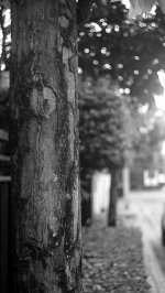 _DSC0522_2.jpg