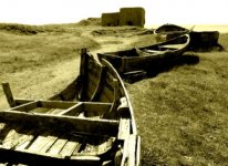 Boats.jpg
