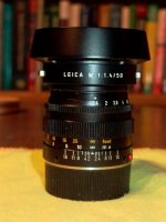Summilux with lens hood on filter.jpg